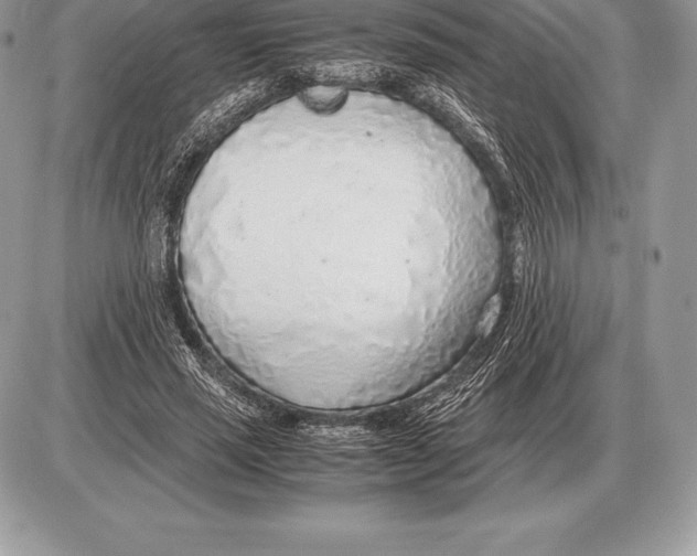 X0000085790637200704131855