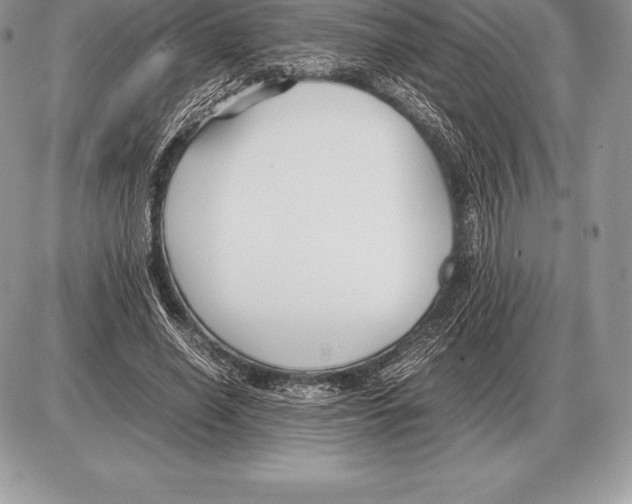 X0000085790638200704131855