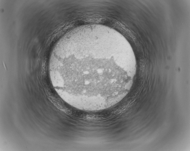 X0000085790641200704131855