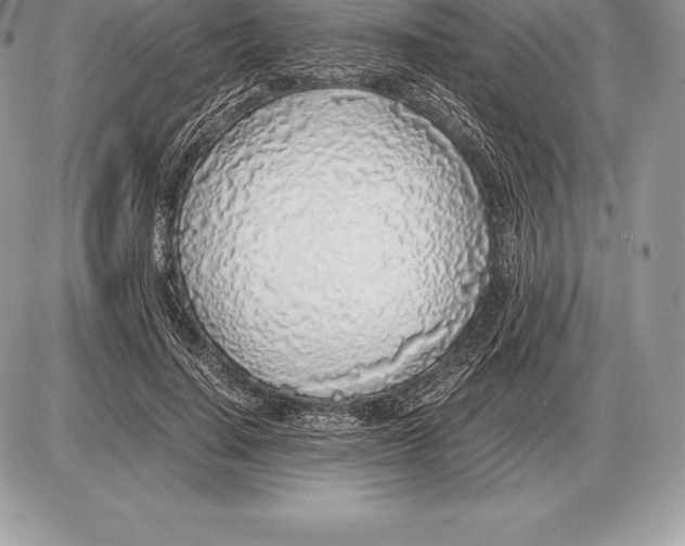 X0000085790644200704131856