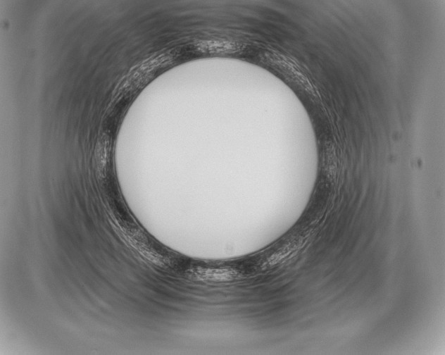 X0000085790645200704131856