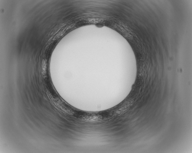 X0000085790646200704131856