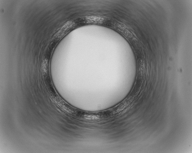 X0000085790649200704131856