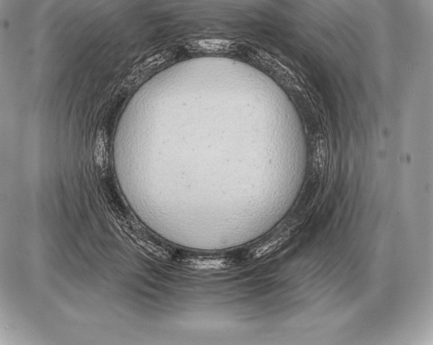 X0000085790651200704131856