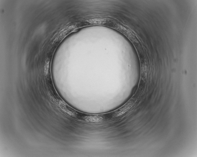 X0000085790652200704131856