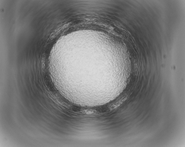 X0000085790654200704131856