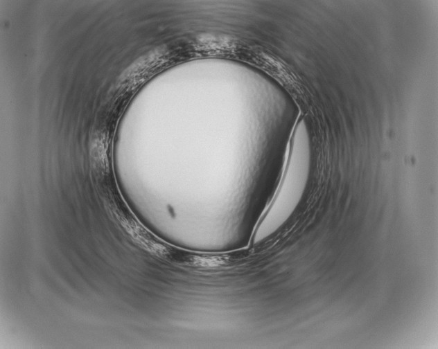 X0000085790662200704131856