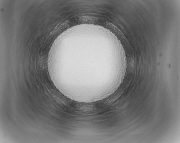 X0000085790663200704131856
