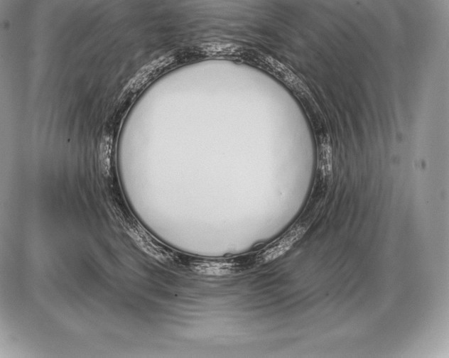 X0000085790664200704131856