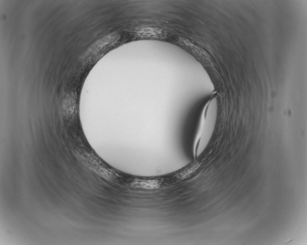 X0000085790665200704131856
