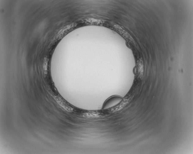 X0000085790668200704131856