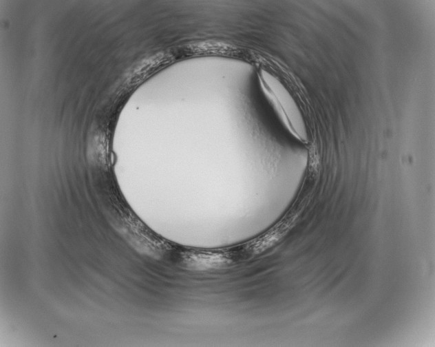 X0000085790669200704131856