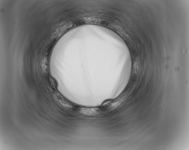 X0000085790671200704131856