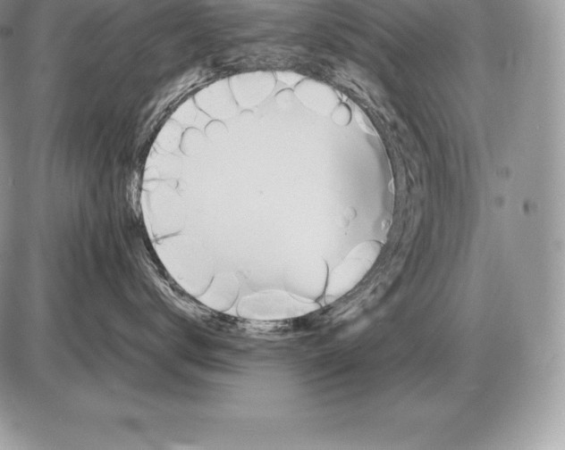 X0000085790672200704131856