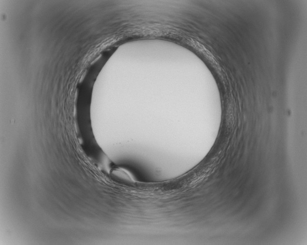 X0000085790673200704131855