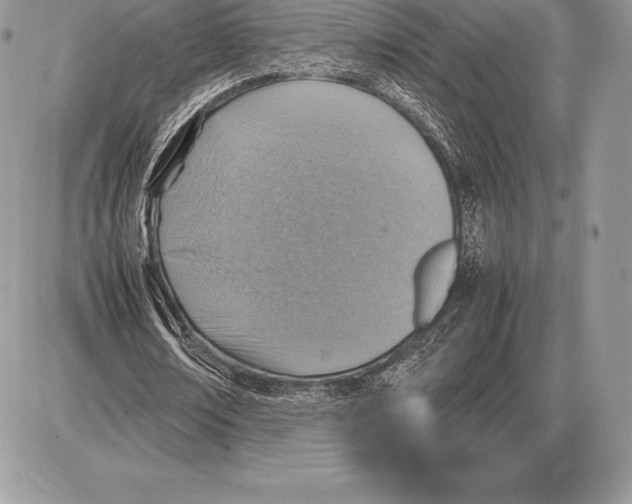 X0000085790674200704131855