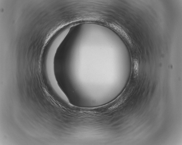 X0000085790676200704131855