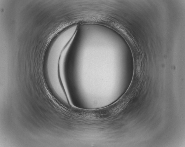 X0000085790677200704131855