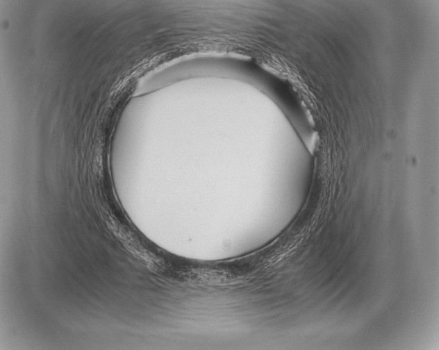 X0000085790681200704131855