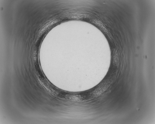 X0000085790683200704131855