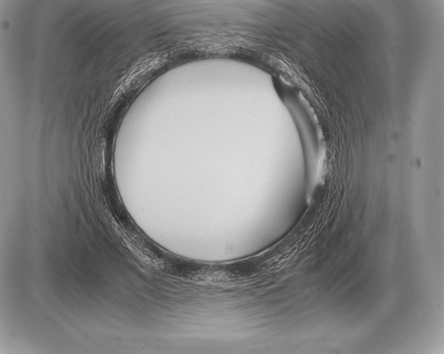 X0000085790685200704131855