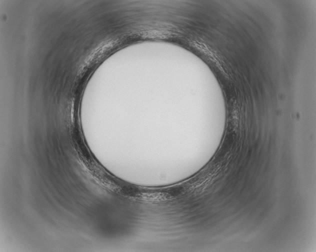 X0000085790686200704131855