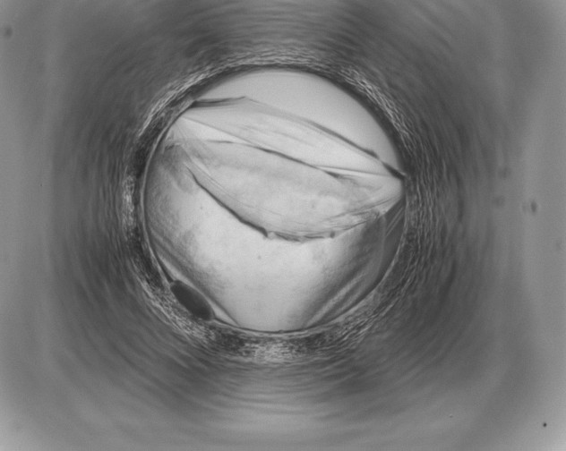 X0000085790688200704131855