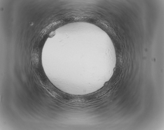 X0000085790691200704131855