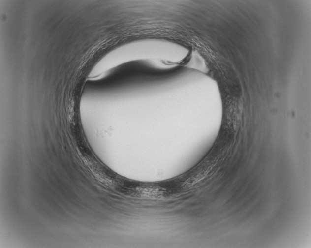 X0000085790693200704131855