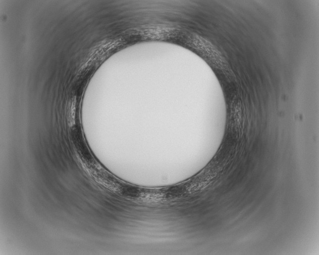 X0000085790694200704131855