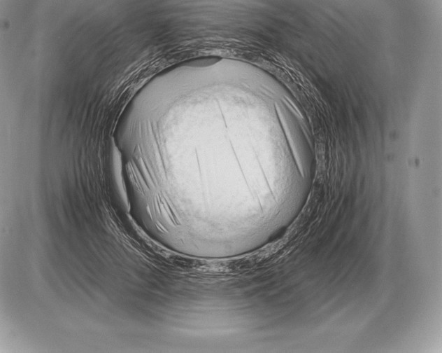 X0000085790696200704131855