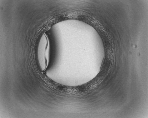 X0000085790697200704131855