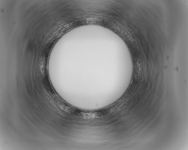 X0000085790698200704131855
