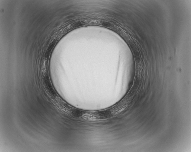 X0000085790699200704131855