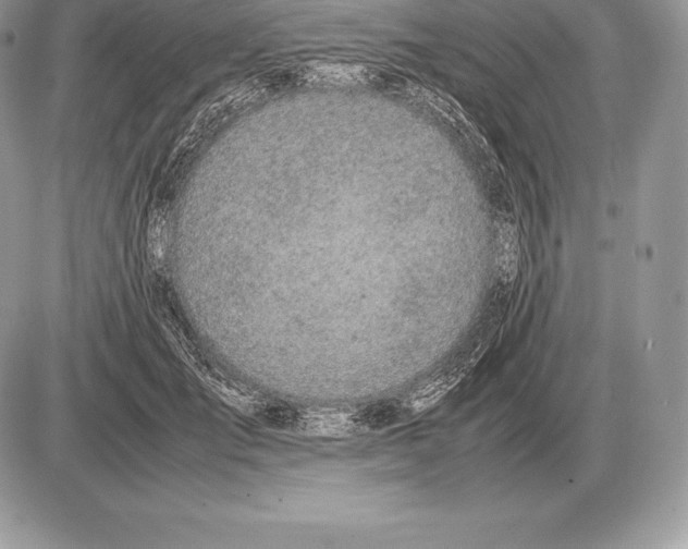 X0000085790701200704131855