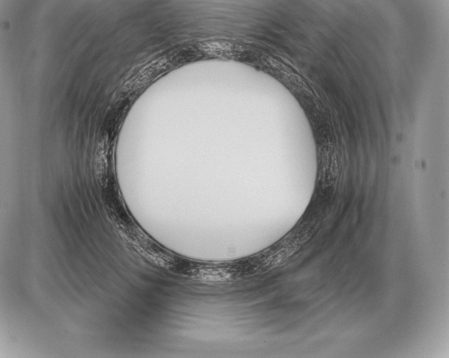 X0000085790702200704131855