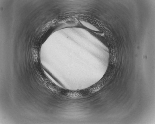 X0000085790704200704131855