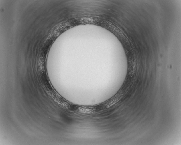 X0000085790706200704131855