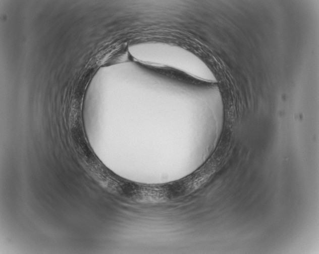 X0000085790707200704131855