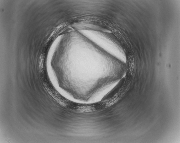 X0000085790708200704131855