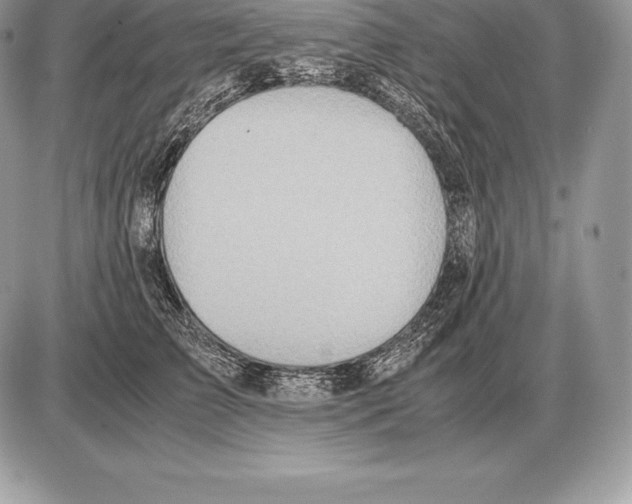 X0000085790709200704131855
