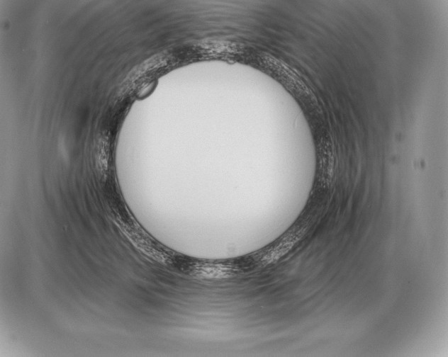X0000085790710200704131855