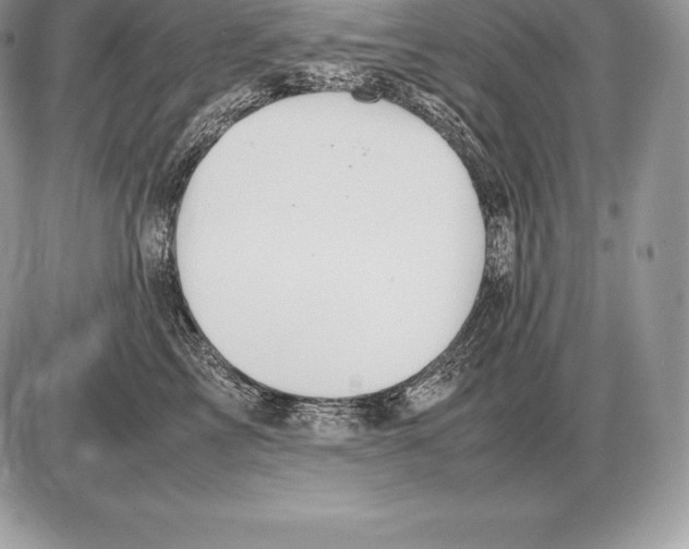 X0000085790713200704131855