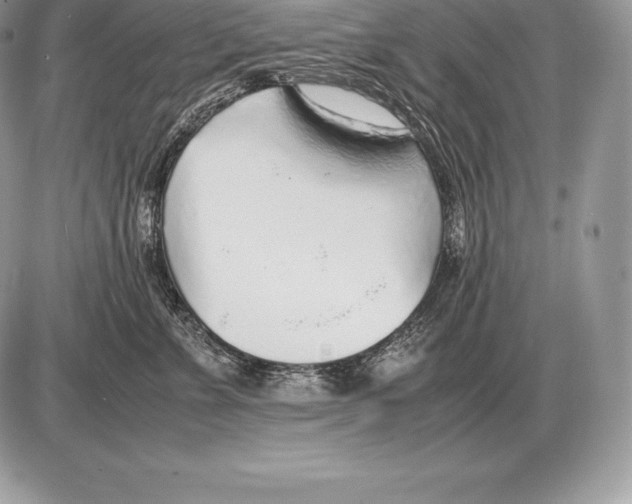 X0000085790715200704131854