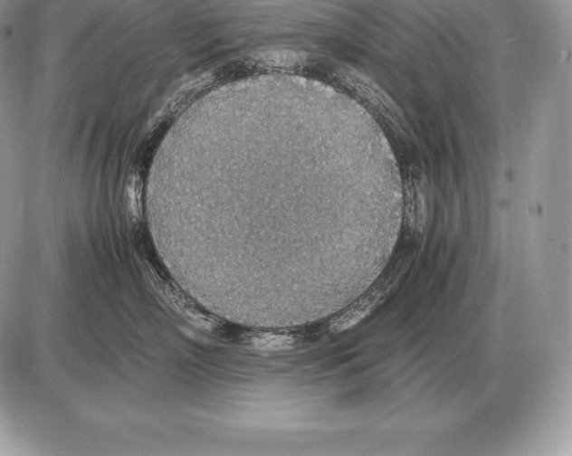 X0000085790718200704131854