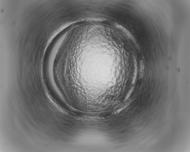 X0000085790726200704131854