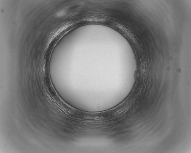 X0000085790727200704131854