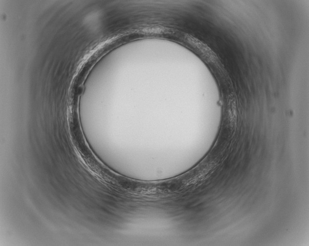 X0000085790728200704131854