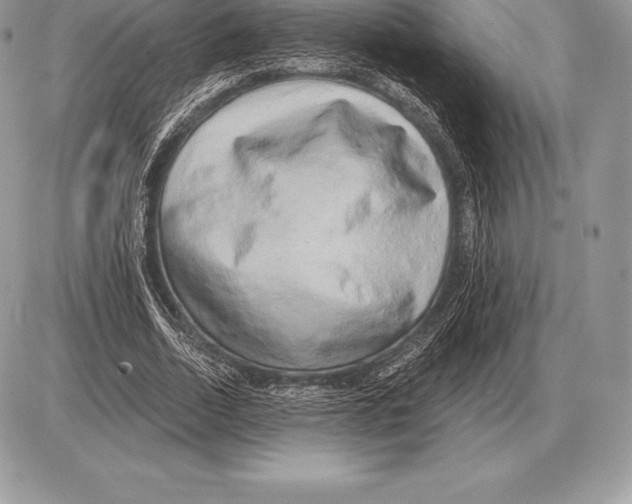 X0000085790730200704131854