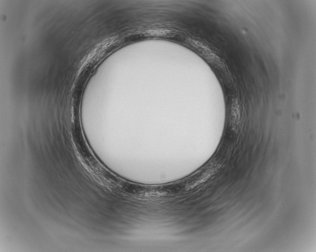 X0000085790734200704131854